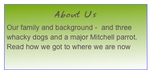 About Us
Our family and background -  and three whacky dogs and a major Mitchell parrot. Read how we got to where we are now